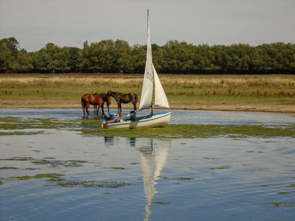 Horses grazing at the edge of a flooded Port Meadow in Oxford, with a small sailing boat on the water