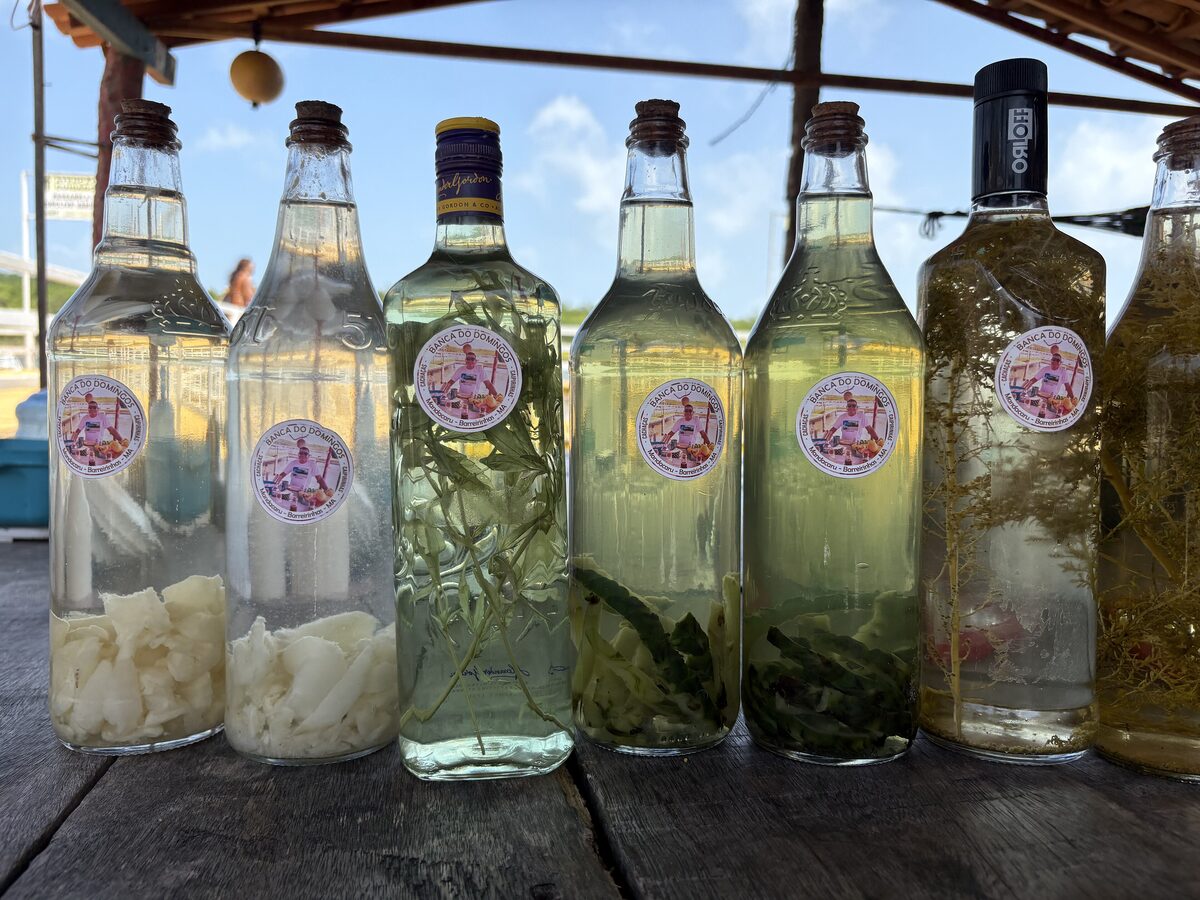 Bottles of cachaça infused with herbs and fruit on a wooden shelf