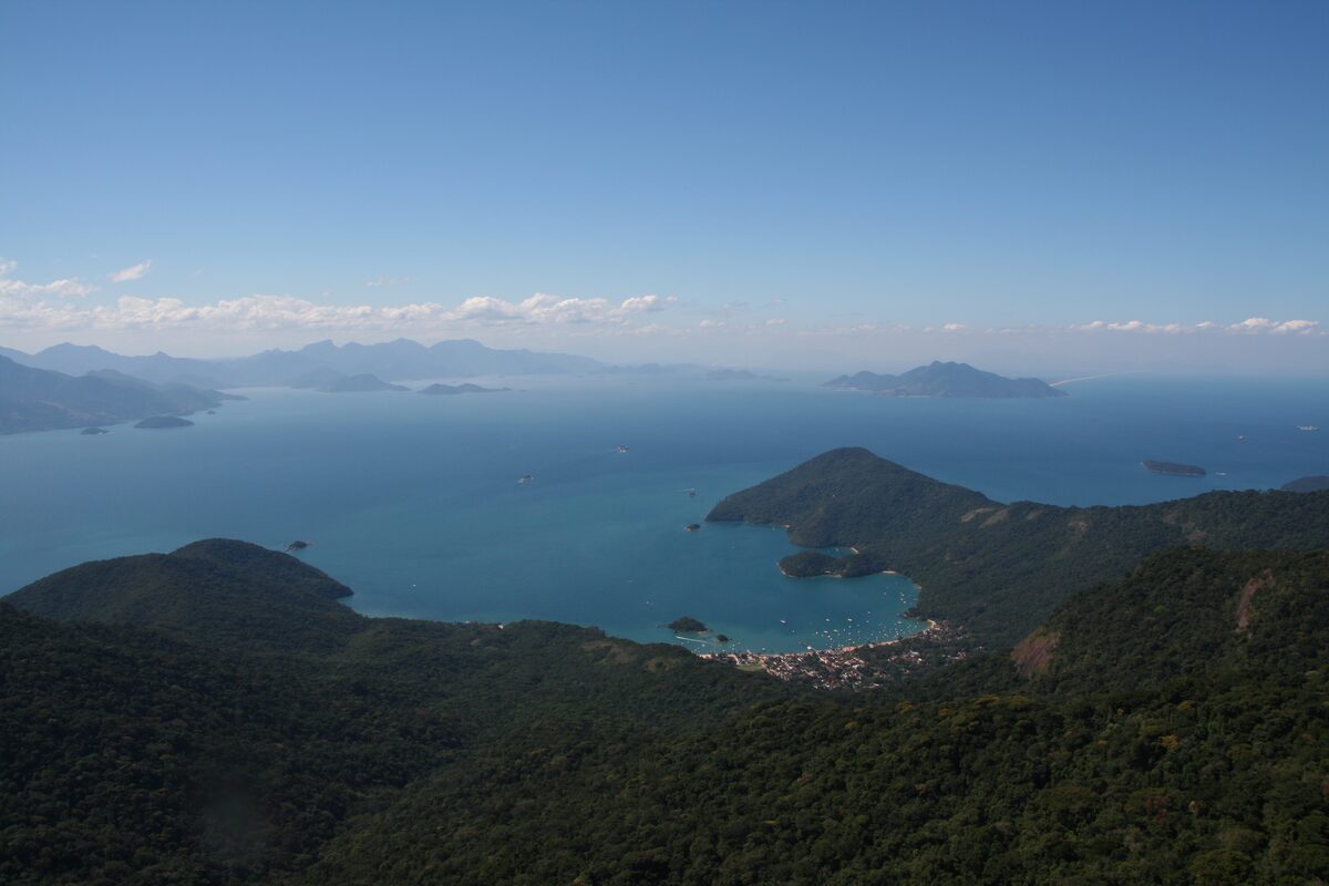 The view from the top of Pico do Papagaio: Abraão bay, forested ridges and the open sea under a blue sky