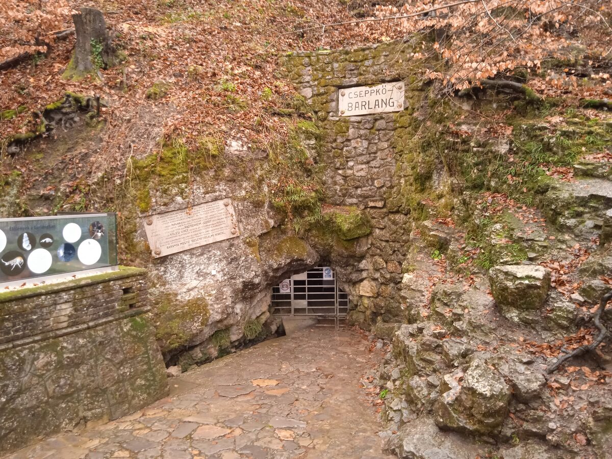 The rocky entrance of Abaliget Cave with a gate and a stone path among autumn leaves