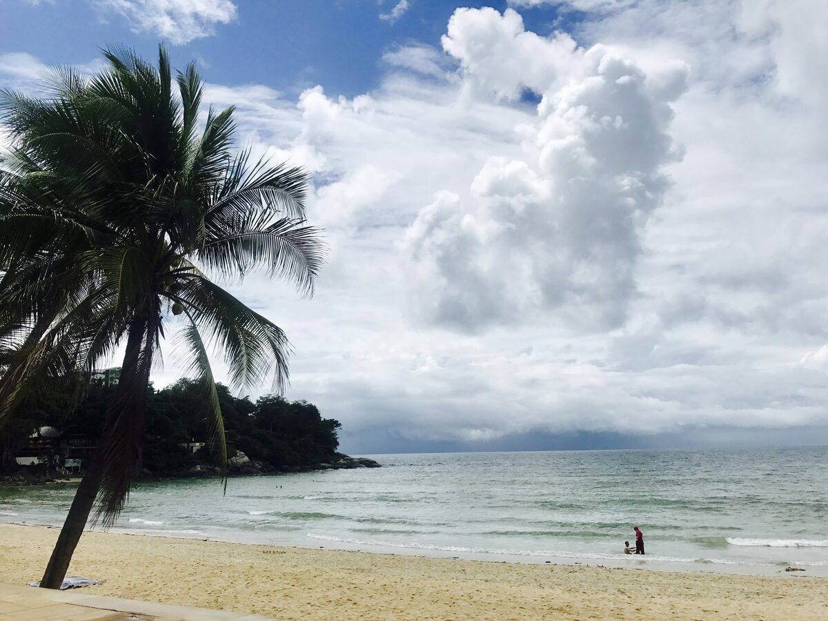A palm tree over the sand of Kata Beach, with the surf line and a small island in the distance