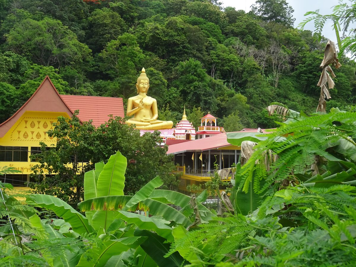 A golden seated Buddha and red-roofed temple buildings among banana plants on the wooded slope of Khao Rang