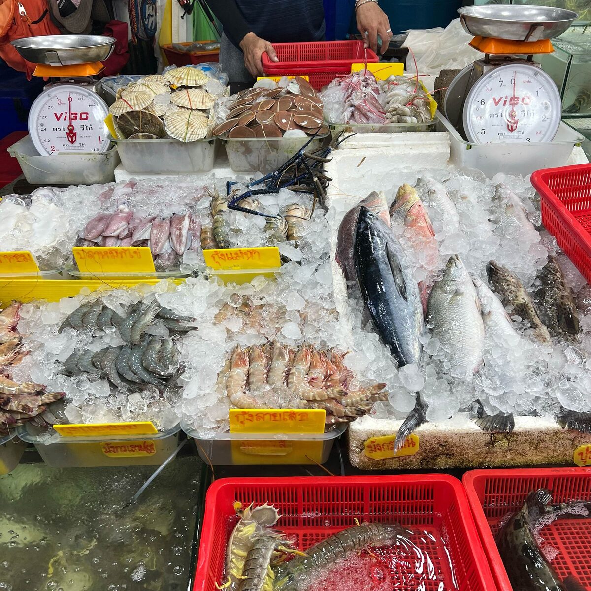 Fish, prawns and shellfish on ice in plastic trays at a seafood market stall in Phuket, with weighing scales above