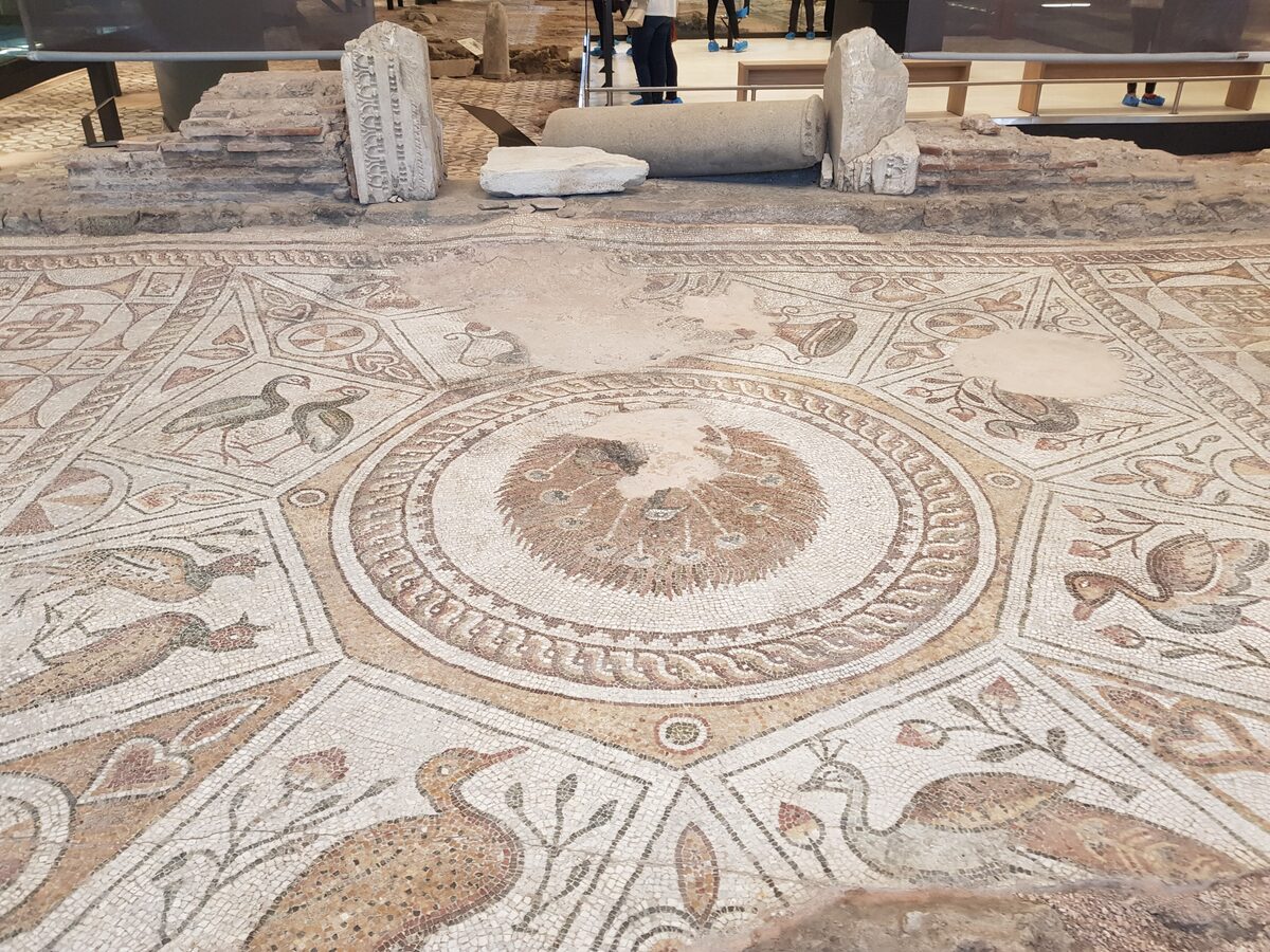 Floor mosaic in the Bishop's Basilica of Philippopolis, a peacock in a central medallion surrounded by panels of birds, with fallen column fragments behind.