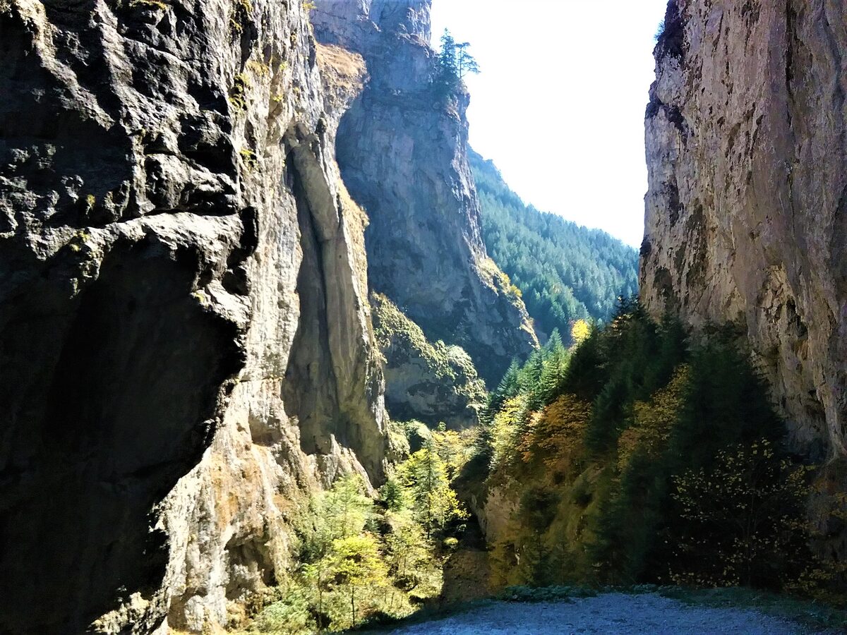 Sheer marble cliffs of the Trigrad Gorge rising on both sides of the road, with autumn-tinted trees and spruce forest in the narrow valley between.