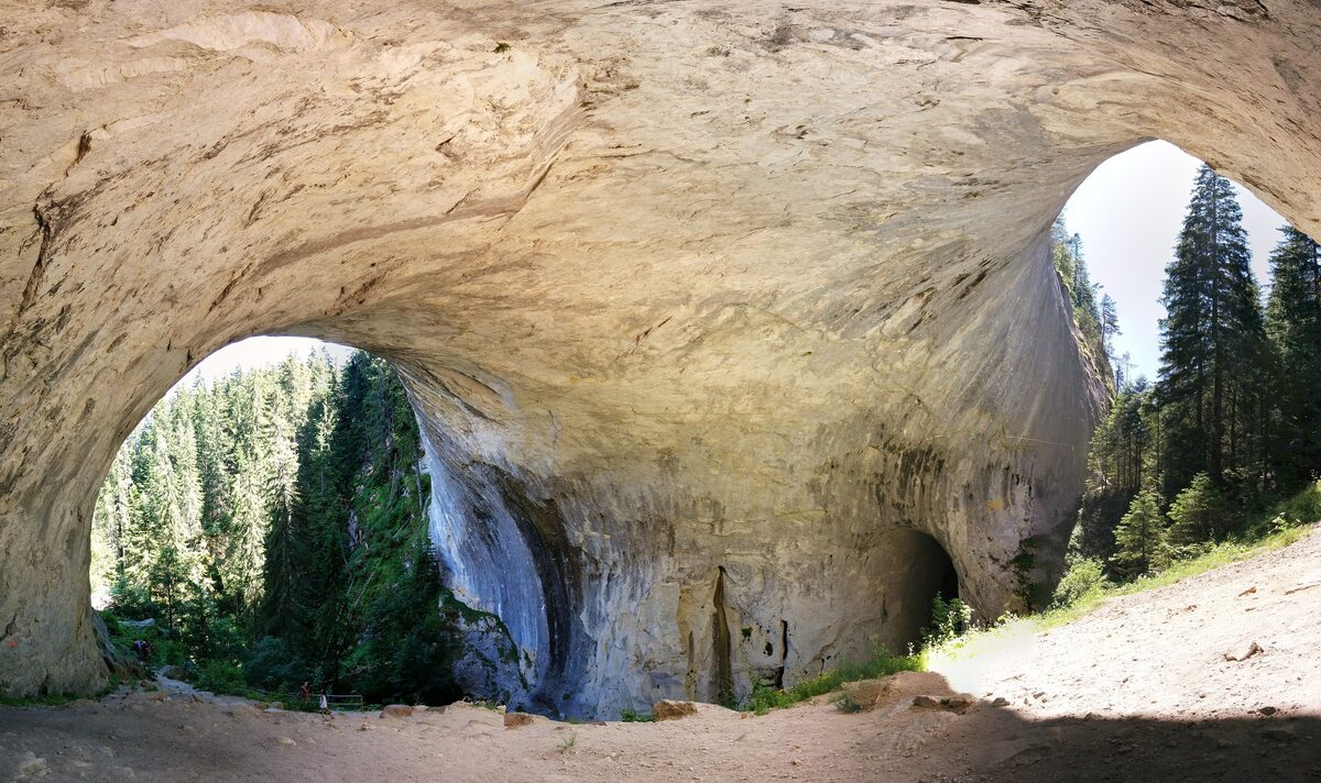 The vast pale rock vault of the Wonderful Bridges in the Rhodopes, two arched openings framing a forest of tall spruce trees.