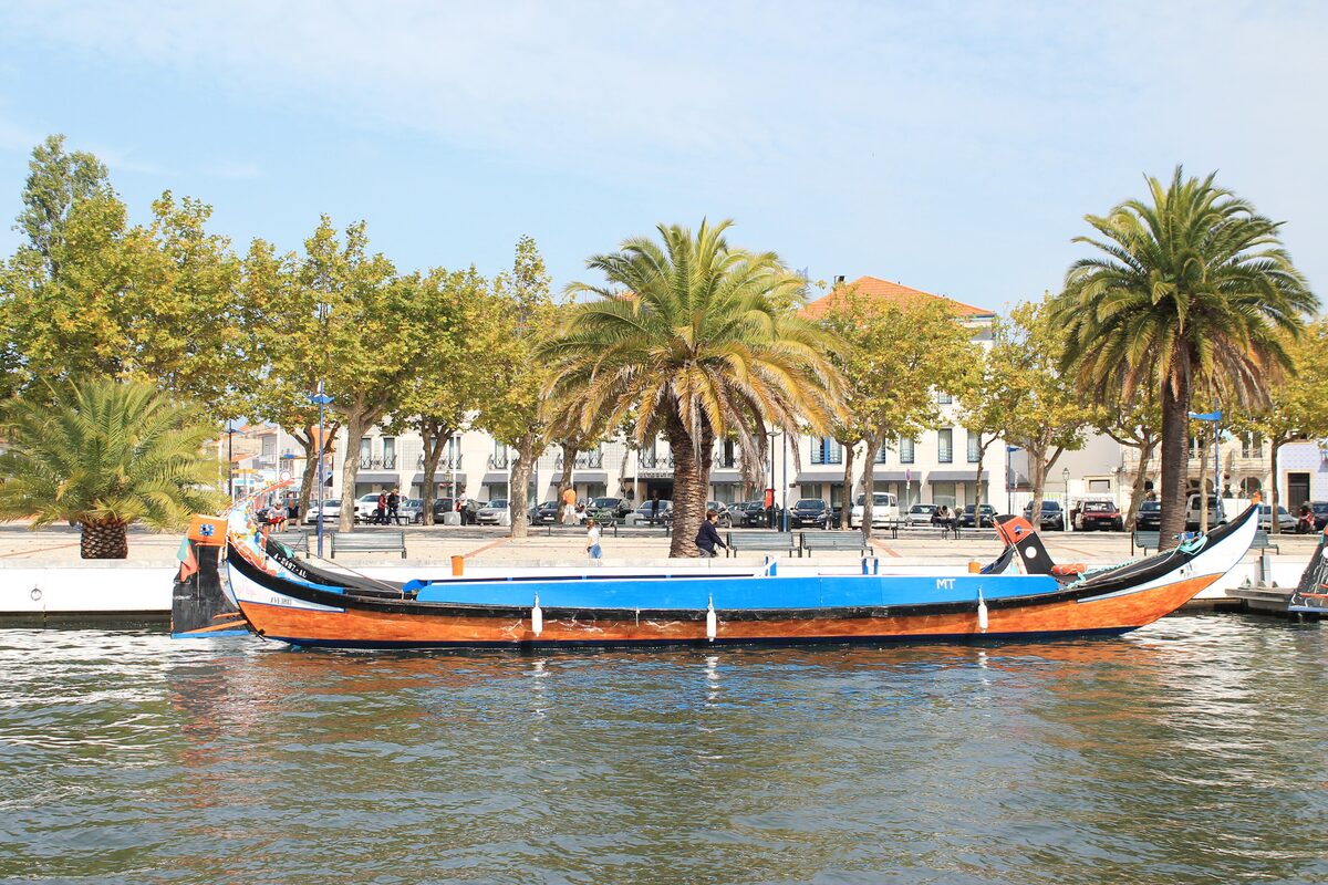 A colorful moliceiro boat moored on a canal in Aveiro, with palm trees along the quay