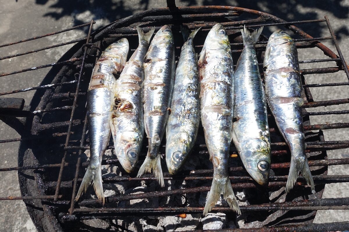 Whole sardines grilling over charcoal on a metal grill