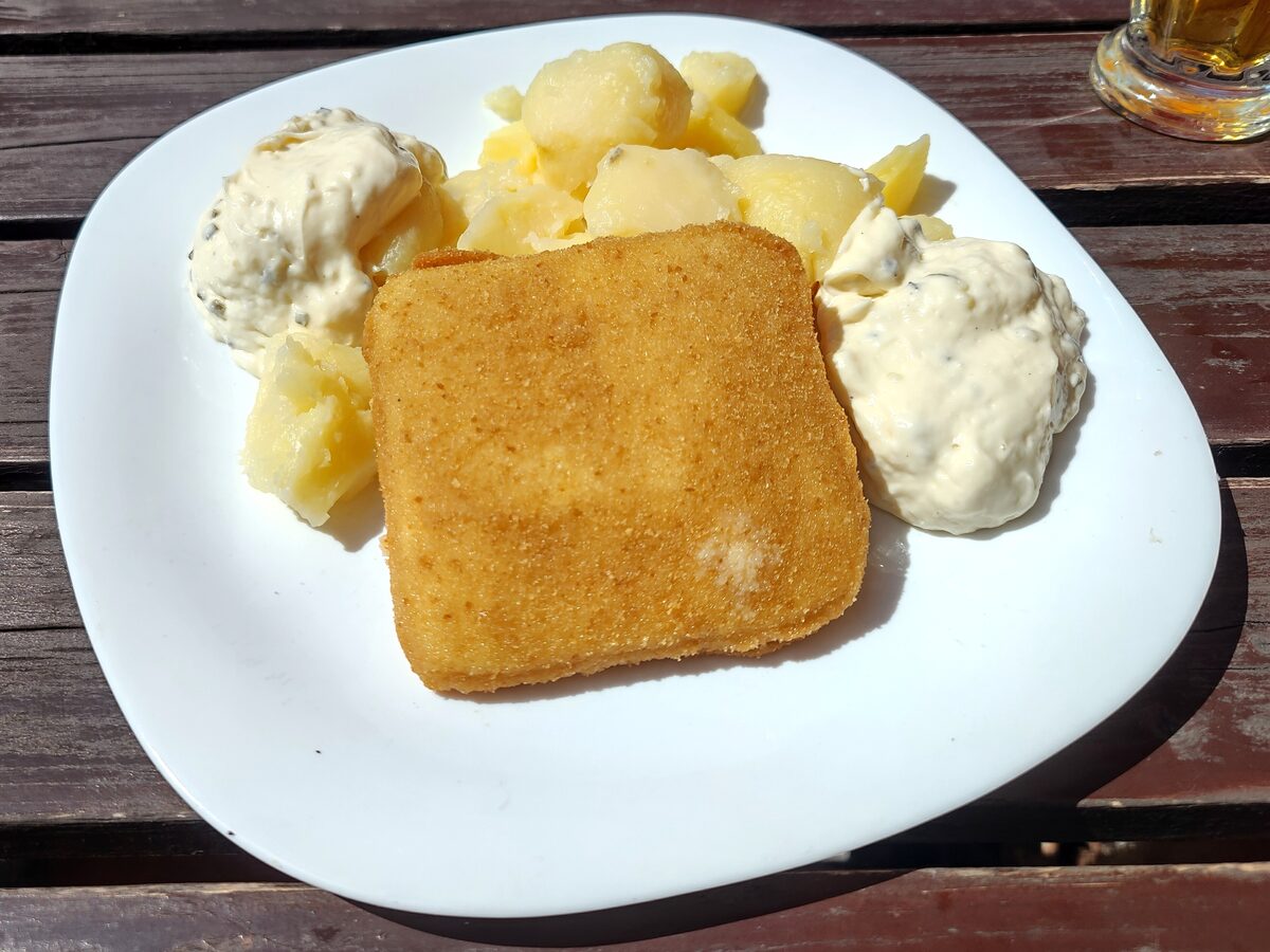 A breaded slice of fried cheese with boiled potatoes and tartar sauce