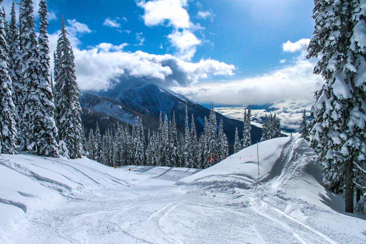 Groomed run lined with snow-covered trees under blue sky
