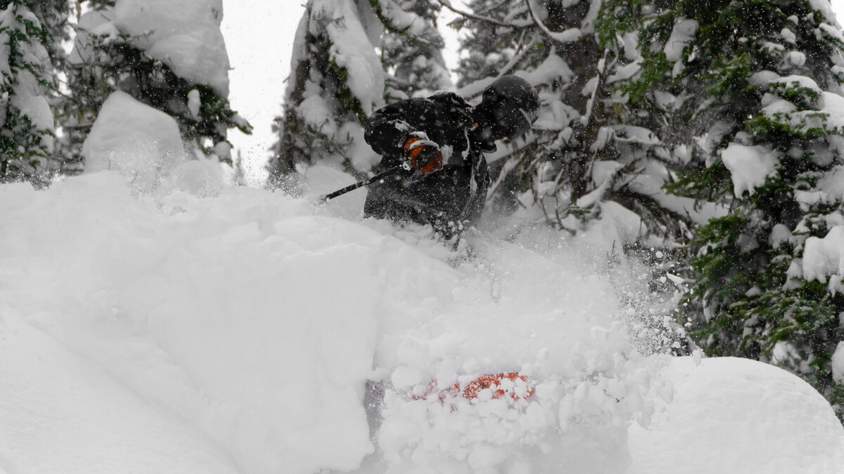 Skier ploughing through deep powder between snowy trees