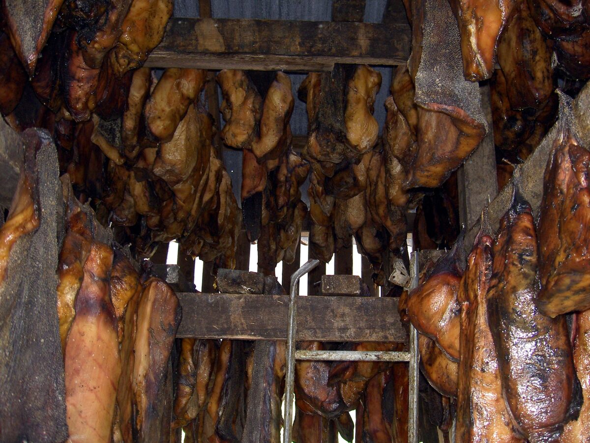 Pieces of shark hanging to dry in a wooden shed, the first stage of making hákarl