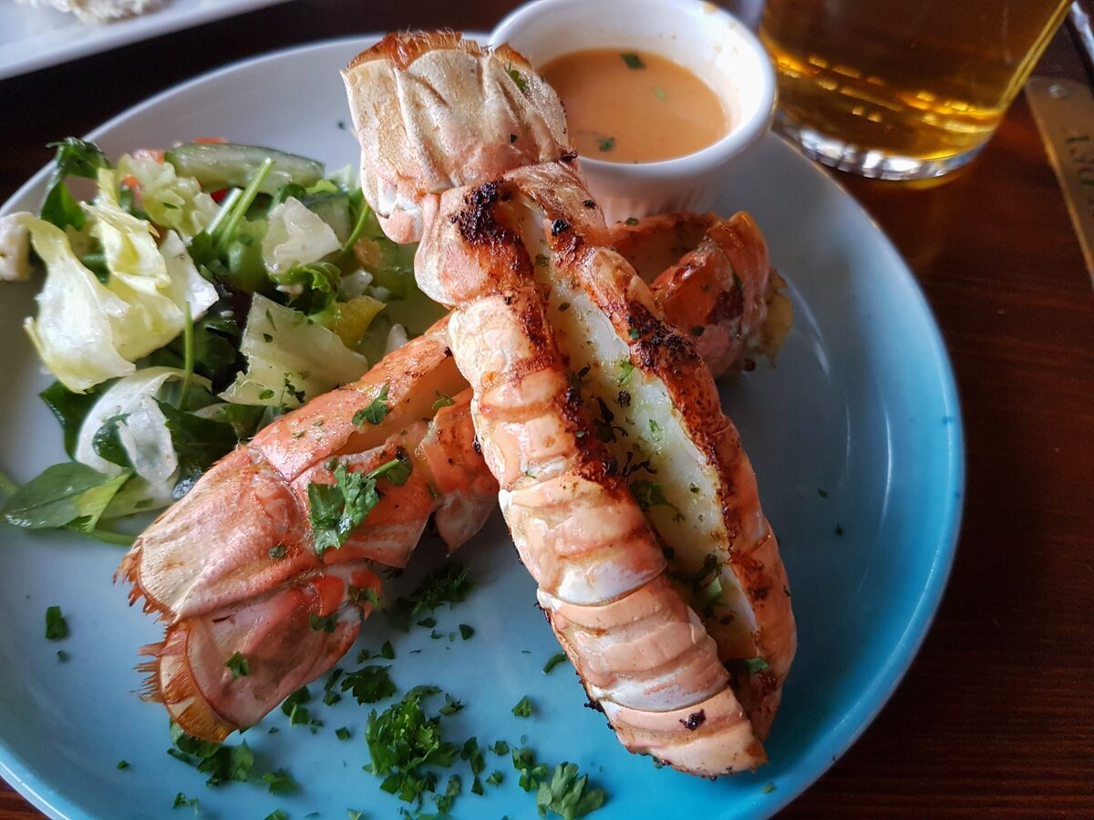 Grilled Icelandic langoustine tails with salad and a dipping sauce on a blue plate