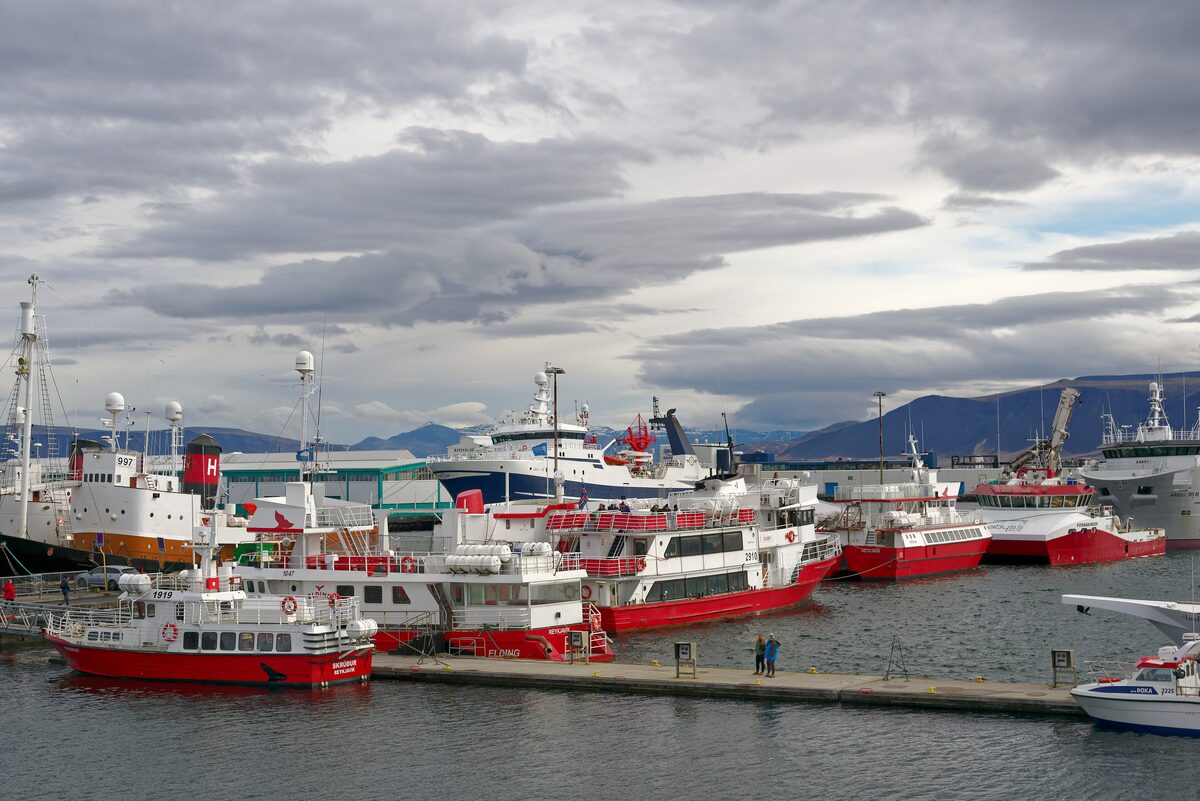 Red and white whale-watching and tour boats moored at the Old Harbour in Reykjavík, with mountains across the bay