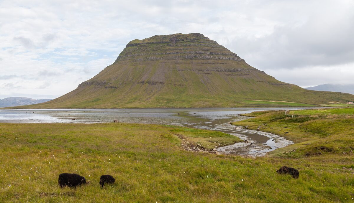 Kirkjufell mountain rising above a river and grassy fields, with sheep grazing in front