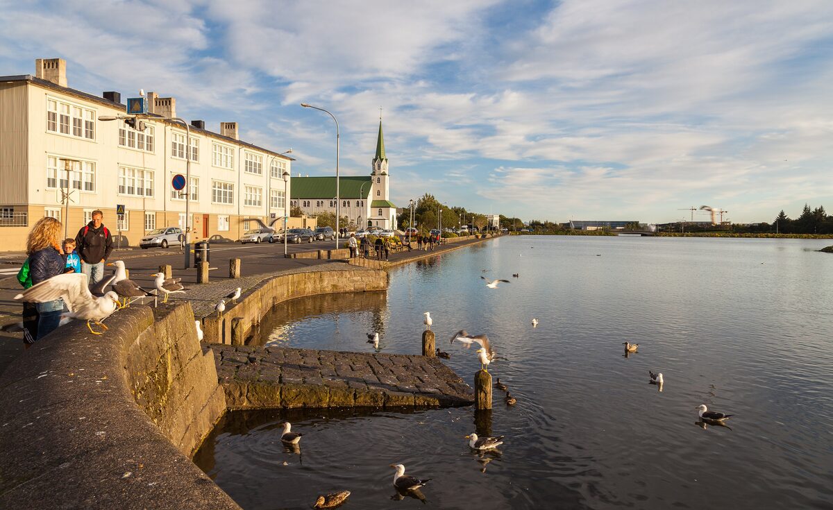 Tjörnin lake with gulls and ducks on the shore, a church spire among the houses across the water