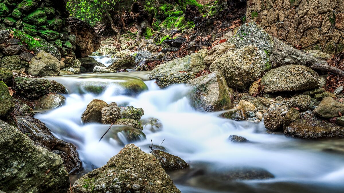 Fast white water running over boulders in a shaded stream at the Seven Springs