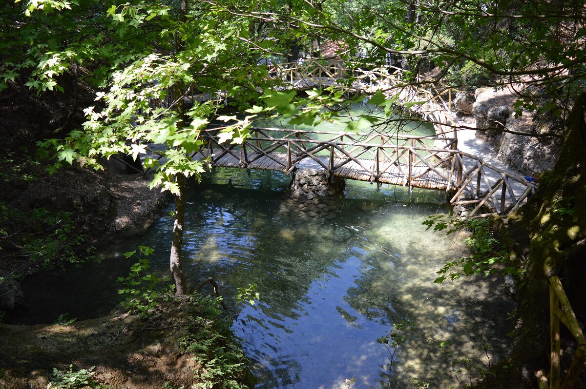 A wooden footbridge over the still pool of the Petaloudes valley, shaded by trees