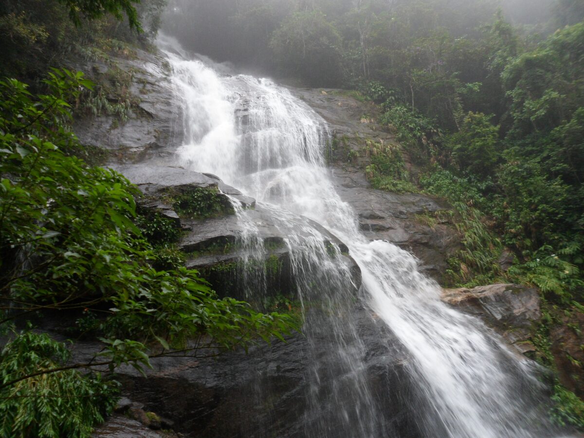 The Cascatinha Taunay waterfall tumbling down dark rock between rainforest leaves in Tijuca