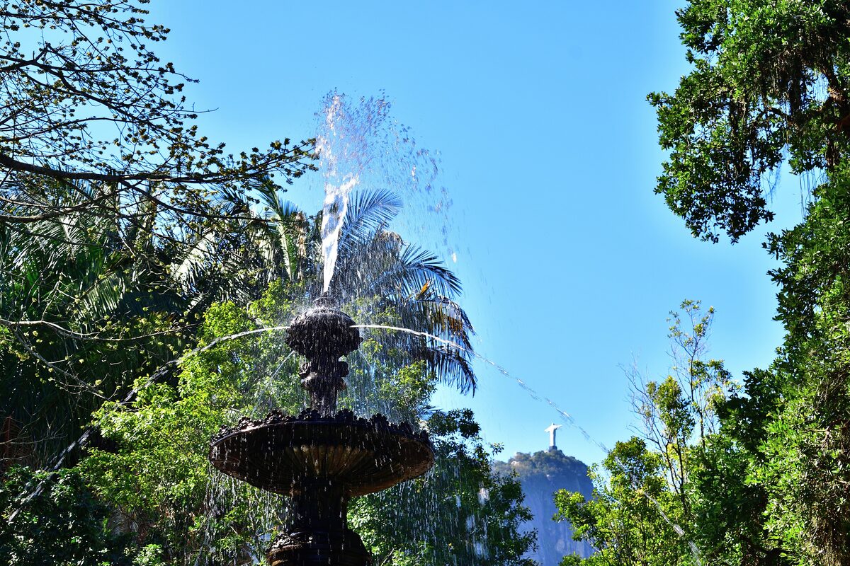 A fountain in the Botanical Garden under tall trees, with the Christ statue on the hill beyond