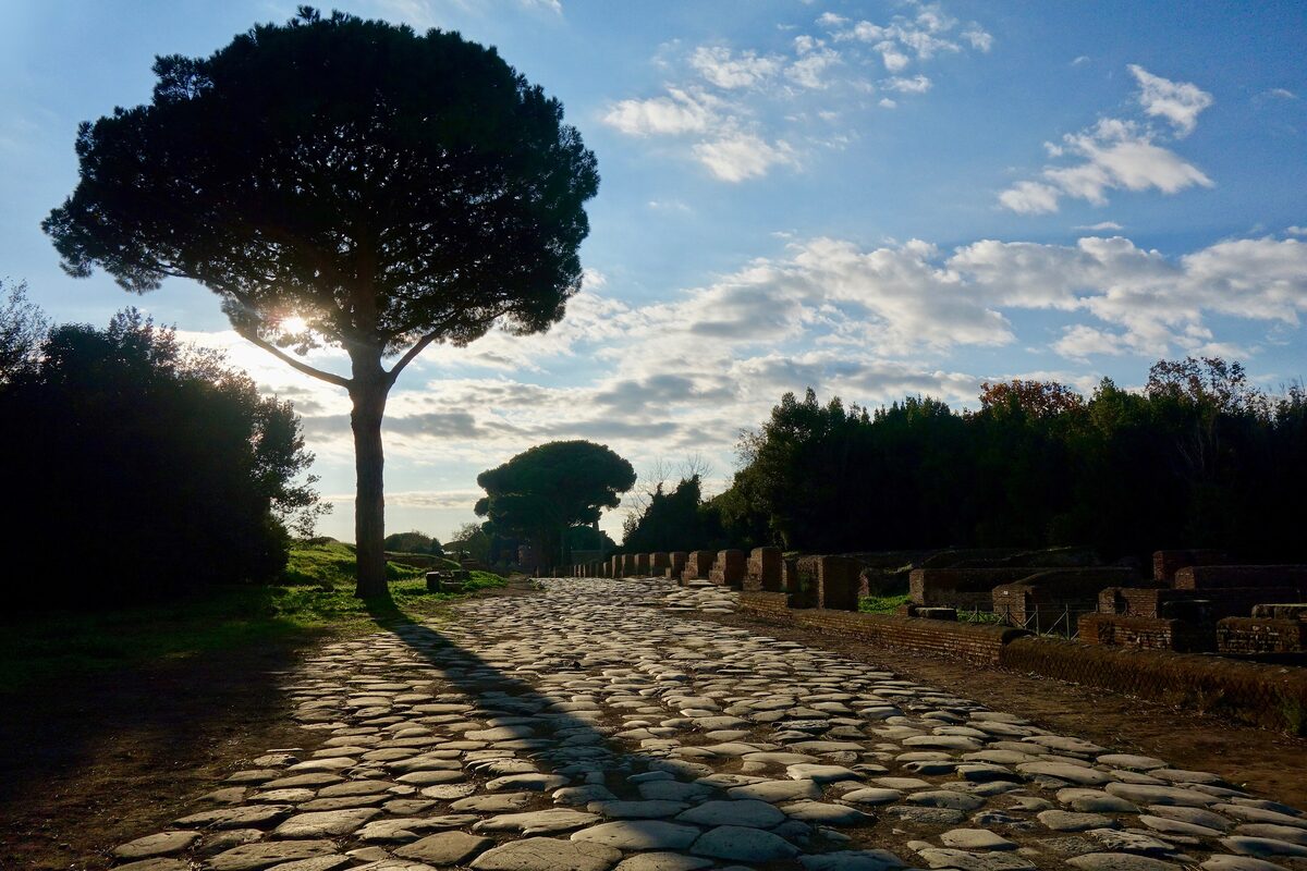 The paved Decumanus under a pine at Ostia Antica