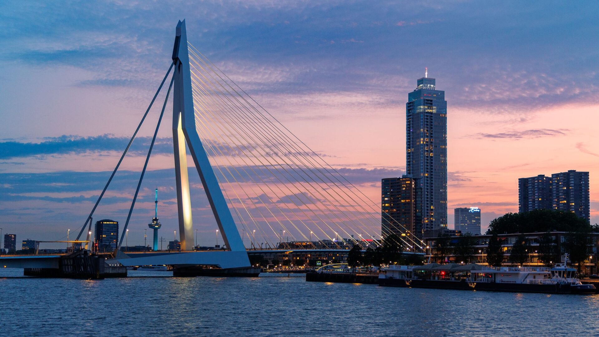 The white Erasmusbrug and the skyline of Rotterdam's riverfront towers against a pink and blue sunset sky over the Maas