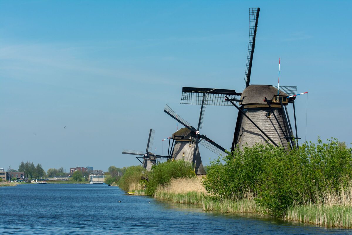 Three traditional windmills on the bank of a wide canal at Kinderdijk, with reeds and green bushes in the foreground