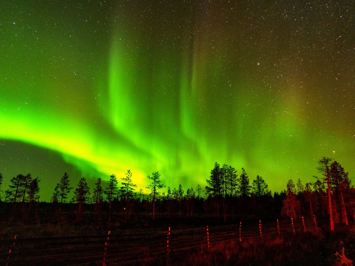 Bright green northern lights arching over a dark forest of spruce trees and a fence in Finnish Lapland