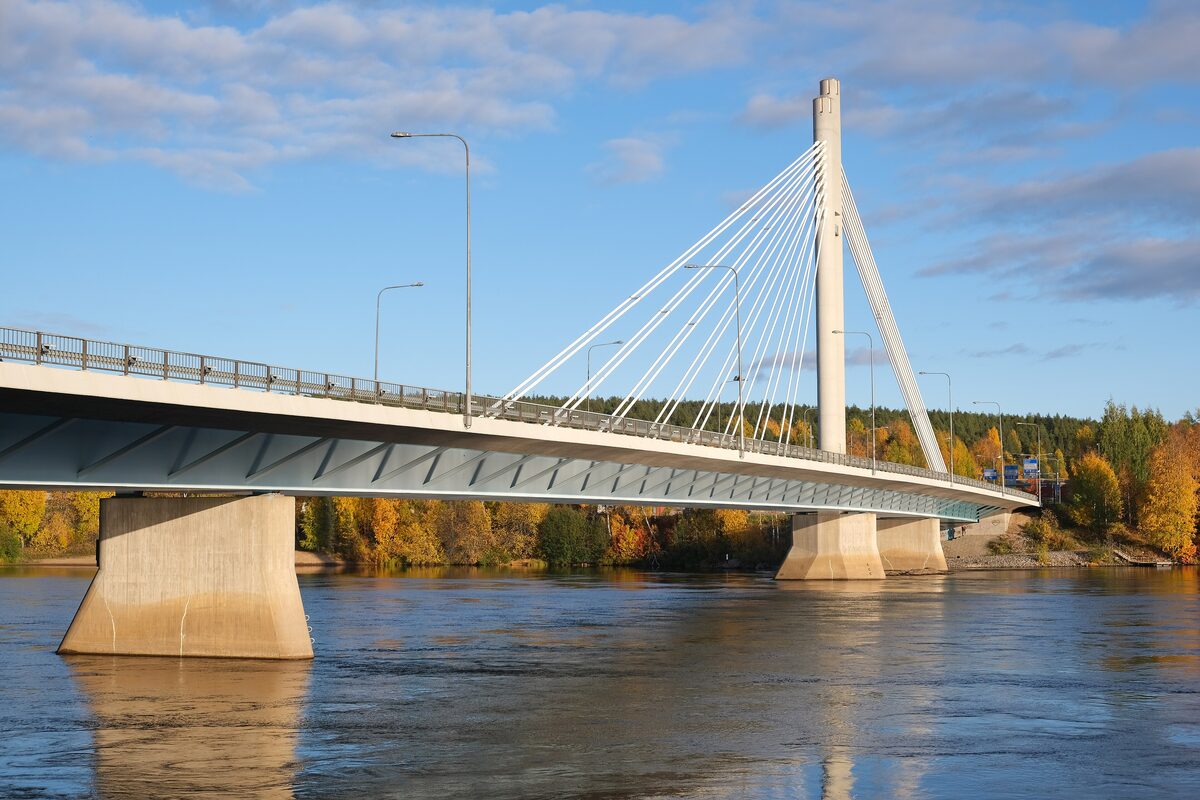 The white cable-stayed Lumberjack's Candle bridge over the wide river in autumn, with yellow birches on the far bank
