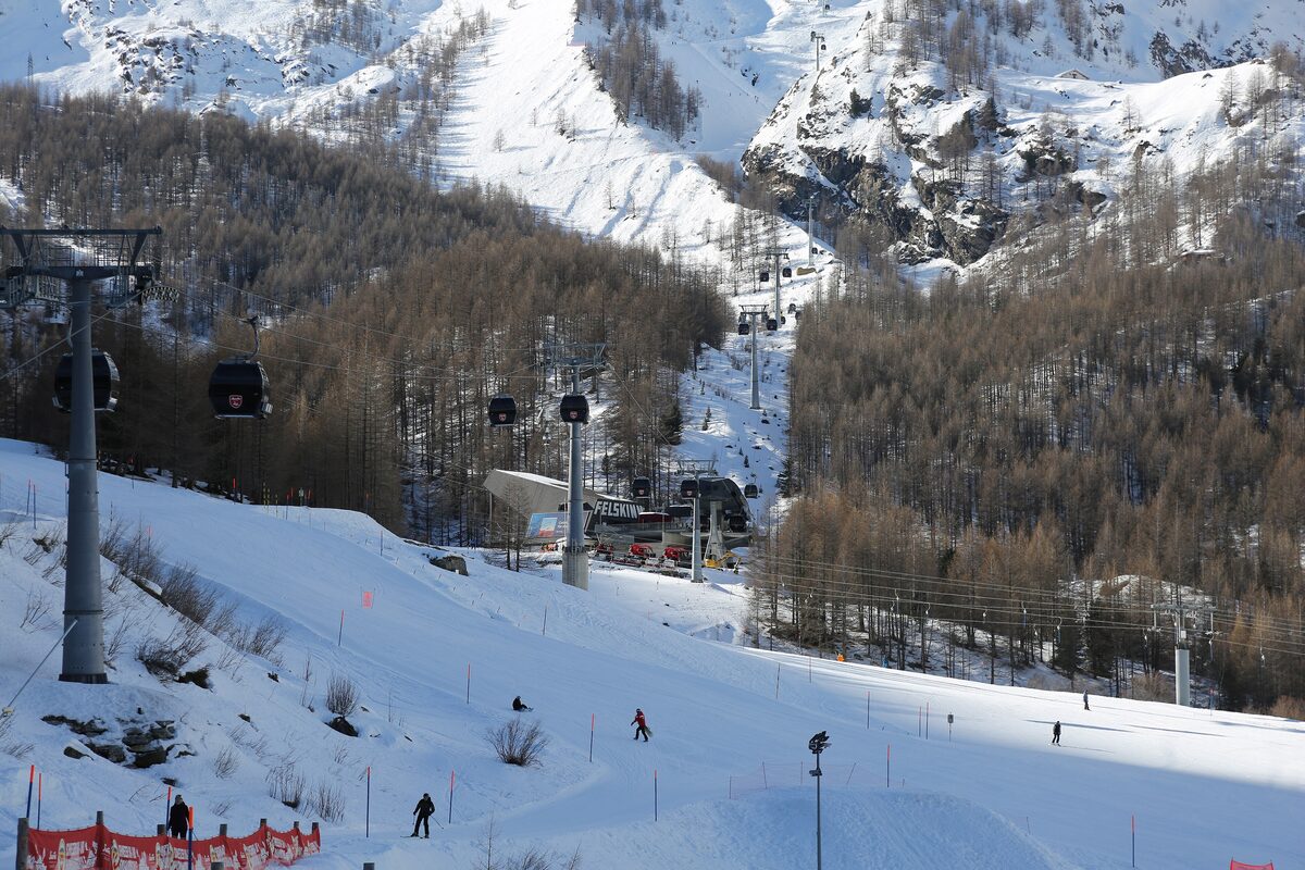 Cable car pylons running up a snowy piste through a larch forest