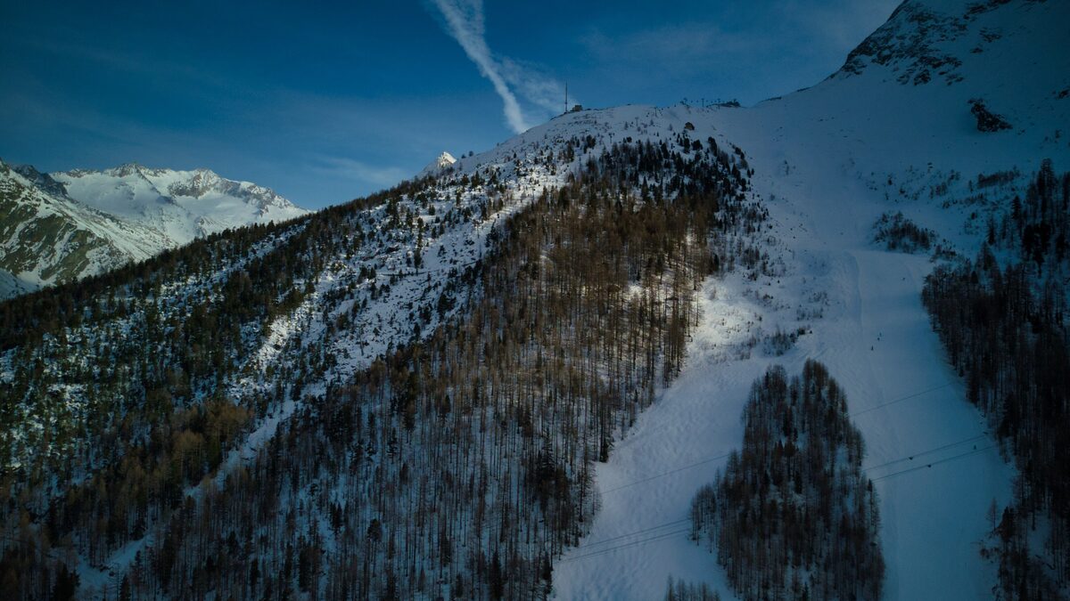 Aerial view of a snowy ski piste running down through a larch forest