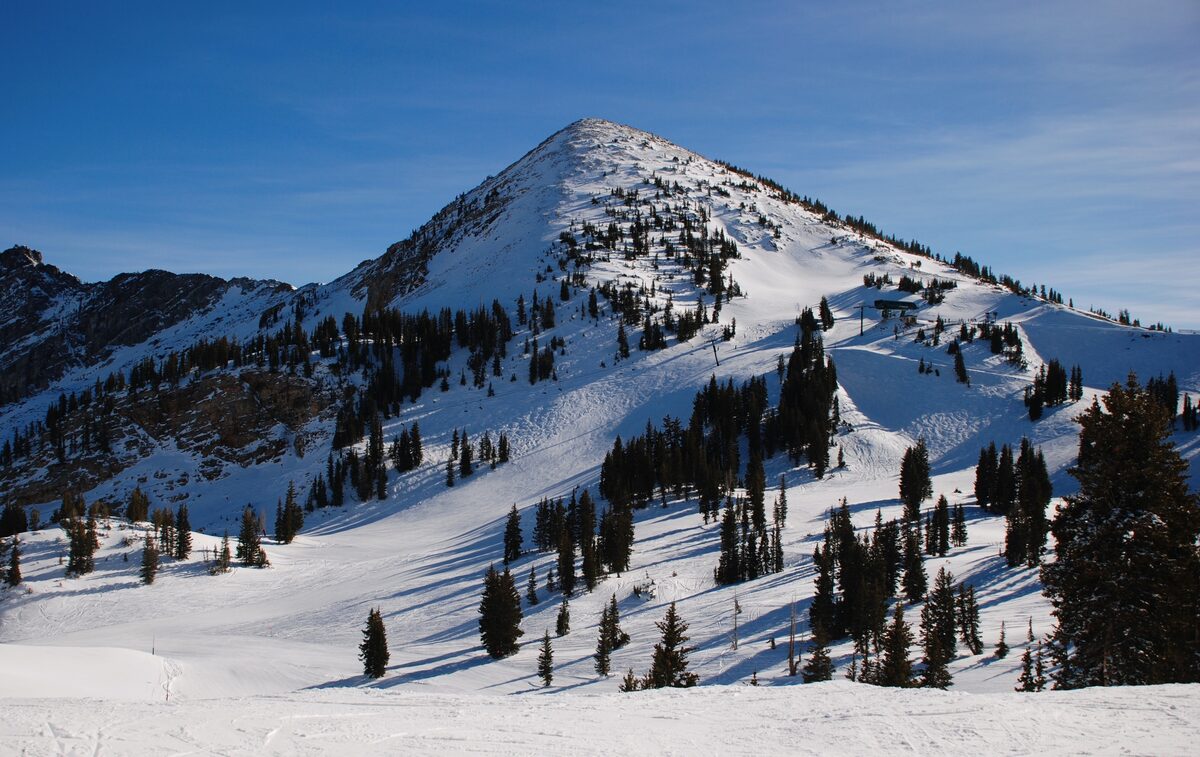 The snow-covered cone of Sugarloaf Mountain at Alta, with ski tracks and scattered conifers under a deep blue sky