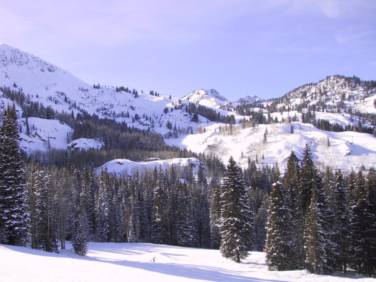 Snow-dusted spruces and open slopes at Brighton under a pale sky, with snowy Wasatch ridges behind