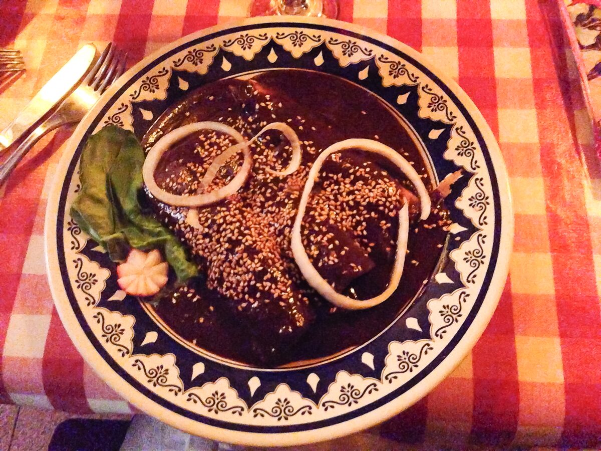 A blue-rimmed plate of chicken under dark mole poblano sauce, scattered with sesame seeds and ringed with raw onion, on a red checkered cloth