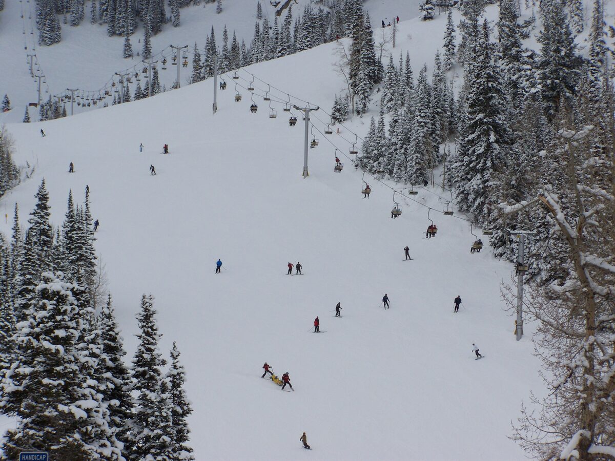 Skiers spread across a gentle, wide Snowbird slope beside a chairlift line and snowy spruces