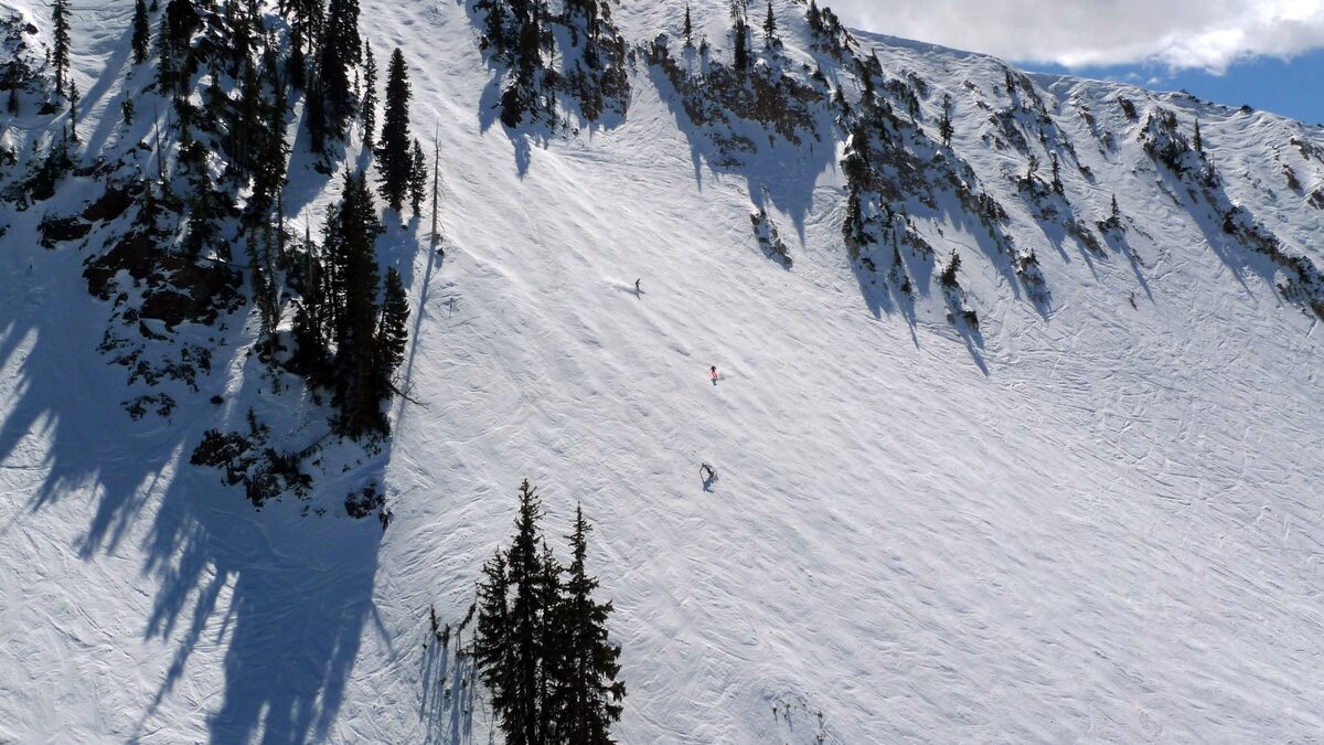 Two tiny skiers on a huge sunlit snow face at Snowbird, with dark conifers along the edge