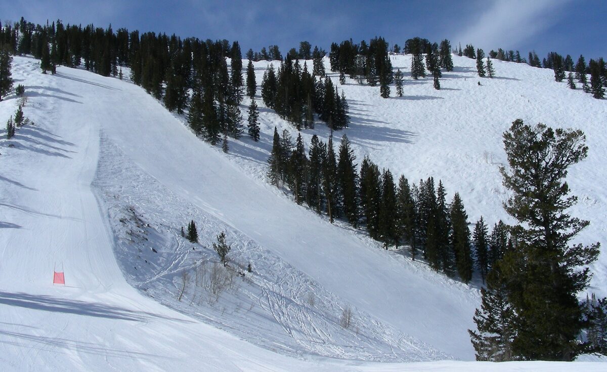 A steep, groomed trail with a red marker through trees on a sunny snow slope at Solitude