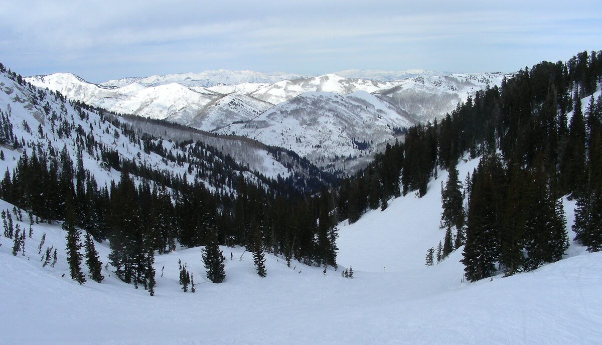 Looking down the open snowfield of Honeycomb Canyon at Solitude, with dark conifers on both sides and snowy mountains in the distance
