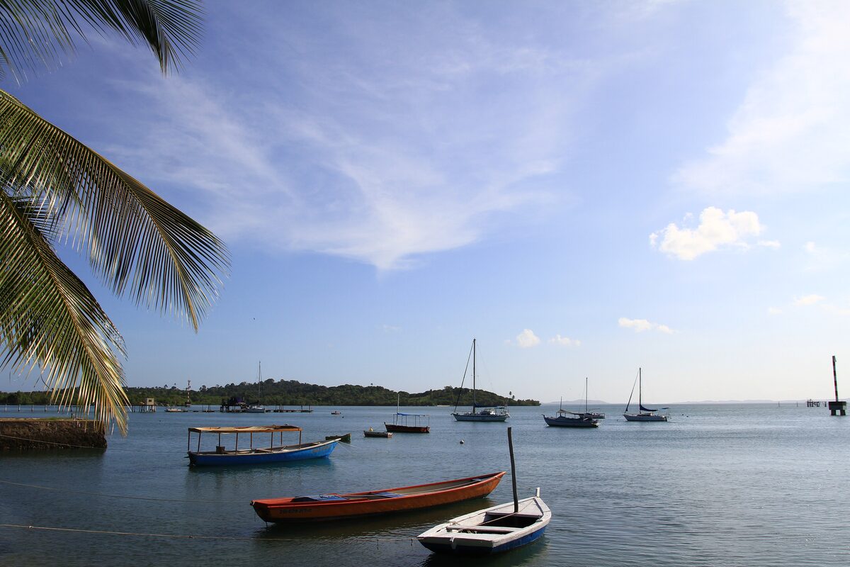Small wooden boats moored in the calm bay off Itaparica, with a palm in the foreground and green shore across the water