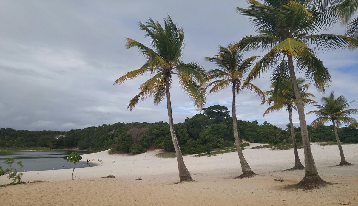 Lagoa do Abaeté: a calm lagoon with white sand dunes, palm trees and forest along the shore