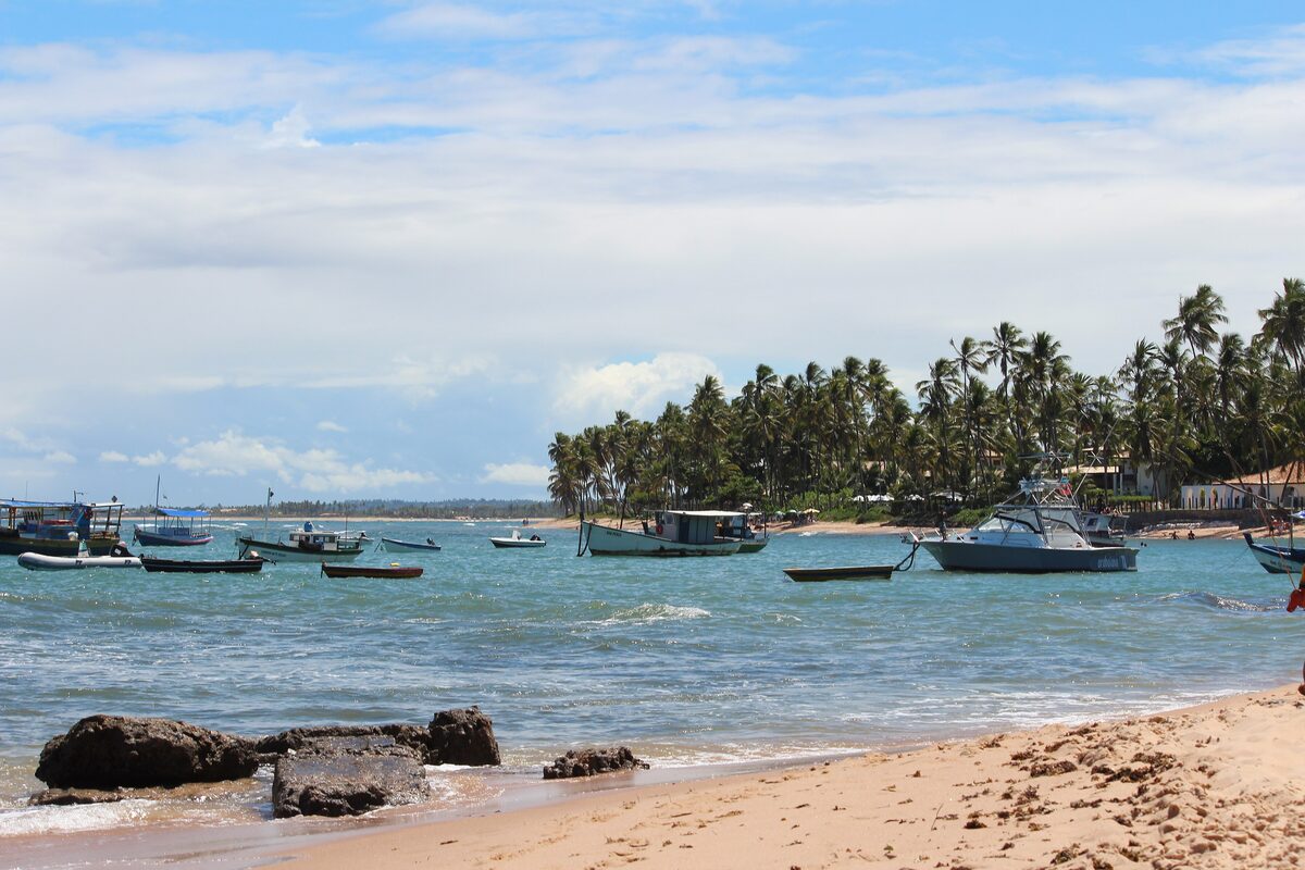 Fishing boats anchored in the shallows off Praia do Forte, with coconut palms along the shore