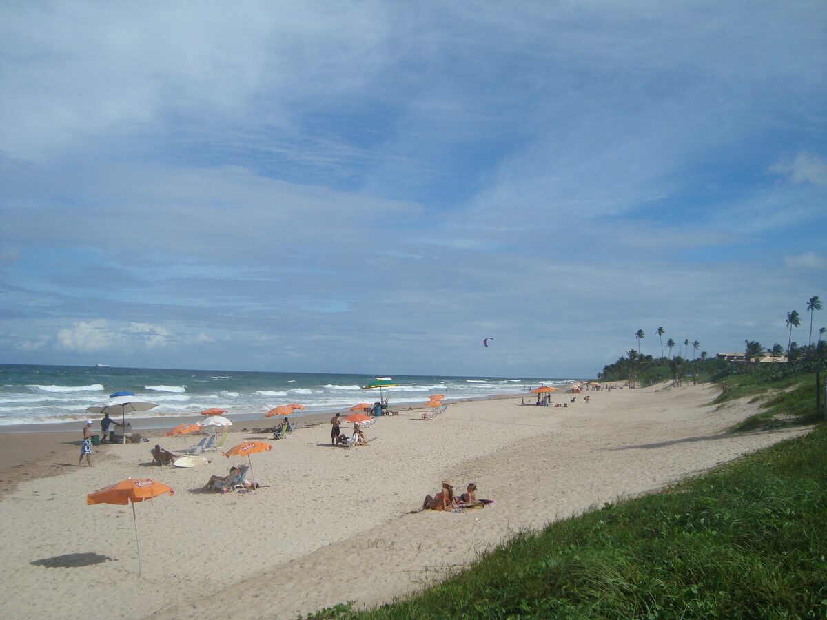 A wide sandy beach in daylight with orange umbrellas, small waves and coconut palms in the distance, on the Flamengo and Aleluia stretch next to Stella Maris