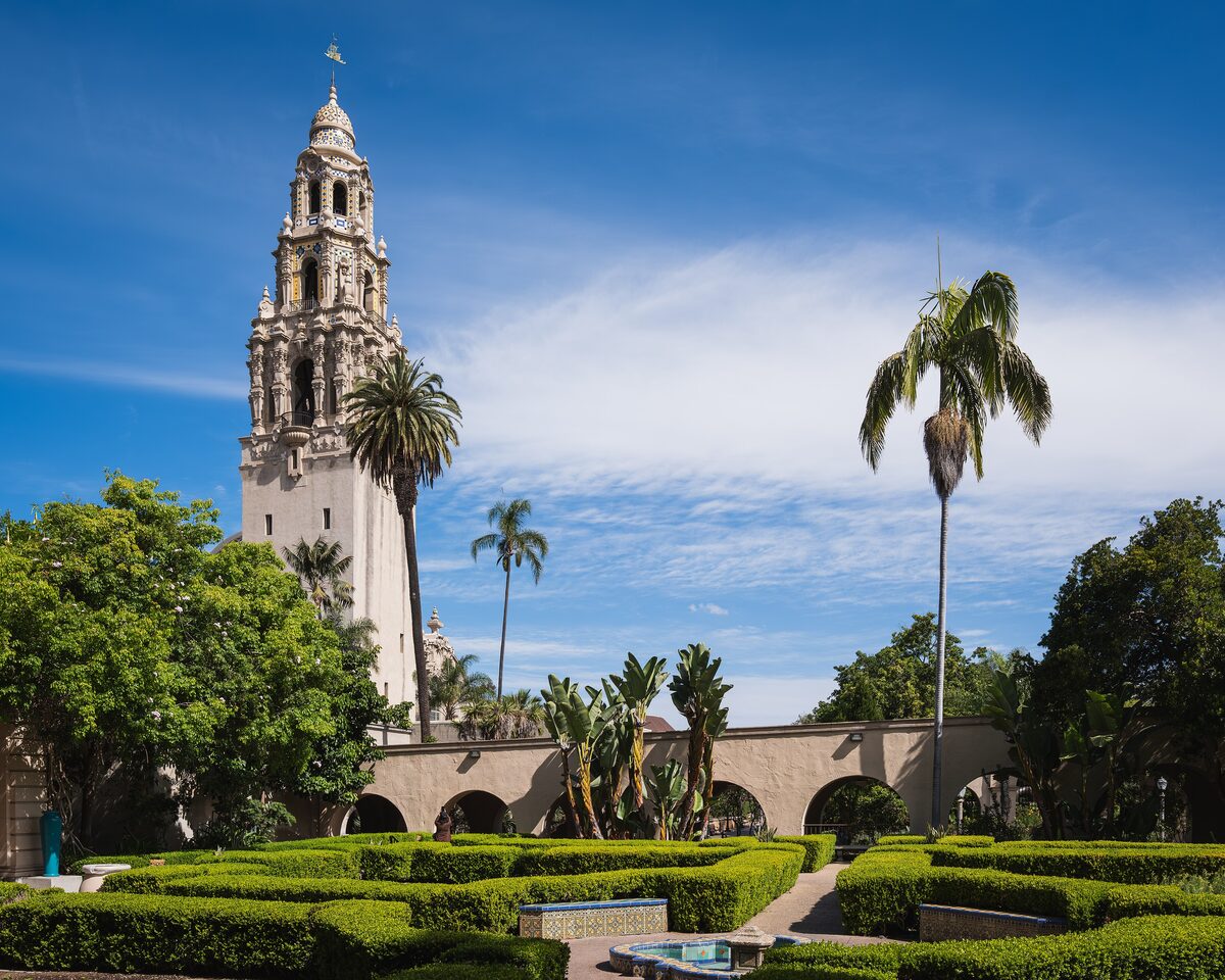 The ornate California Tower rising above hedges and palms in Balboa Park