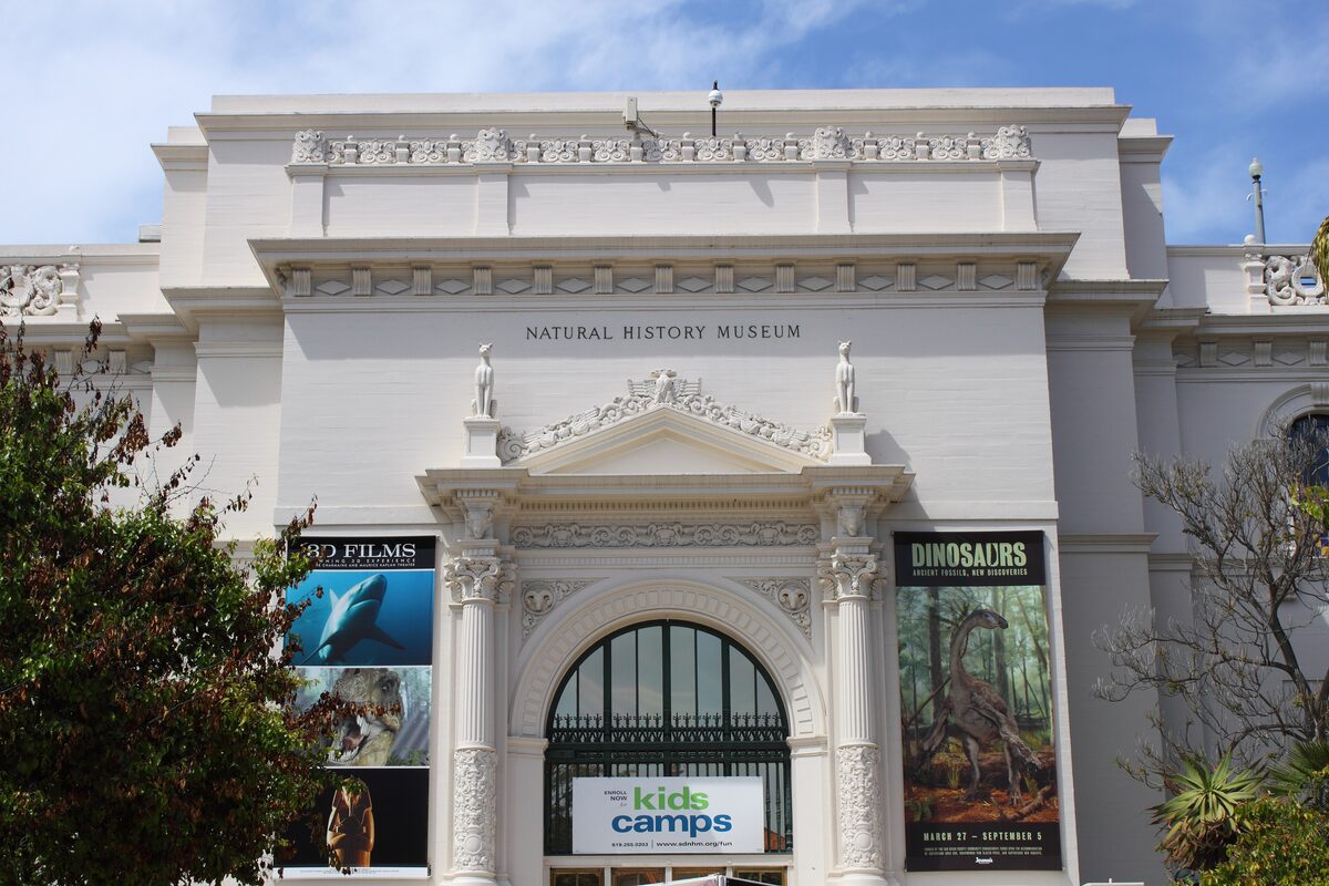 The white Natural History Museum facade with its arched entrance