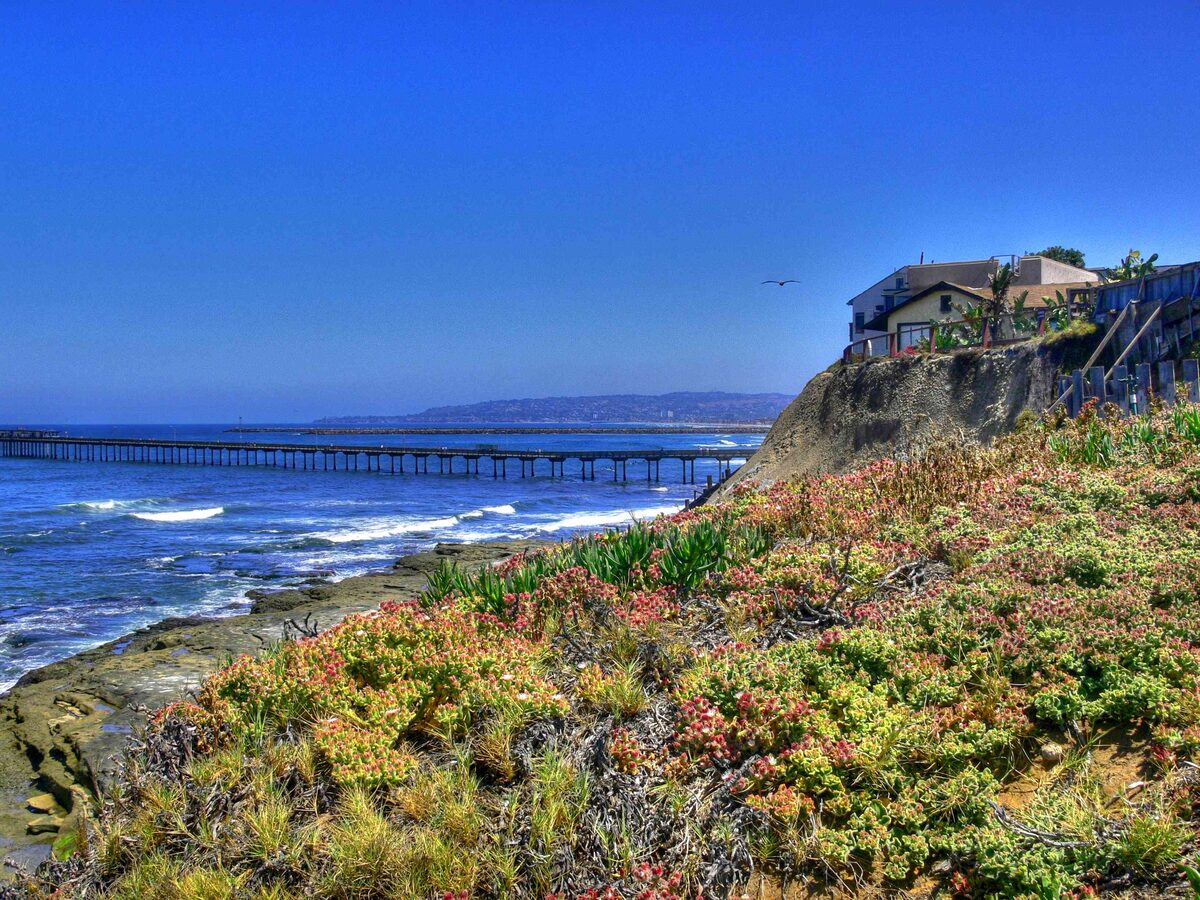 The Ocean Beach pier seen from the cliffs above the surf