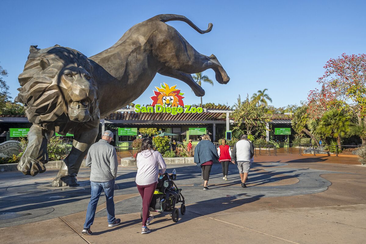 A bronze leaping lion statue at the San Diego Zoo entrance plaza
