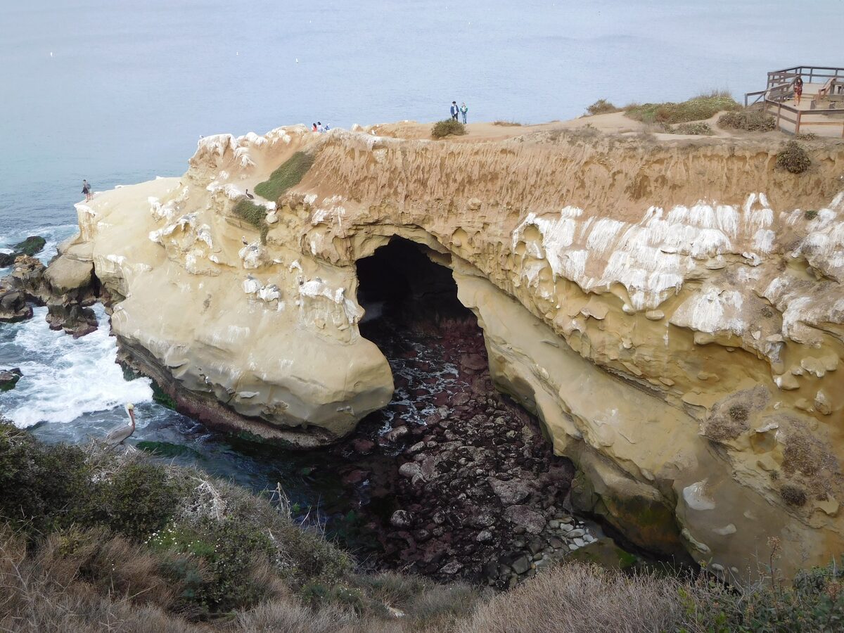 A sea cave opening in the pale La Jolla sandstone cliff at Goldfish Point