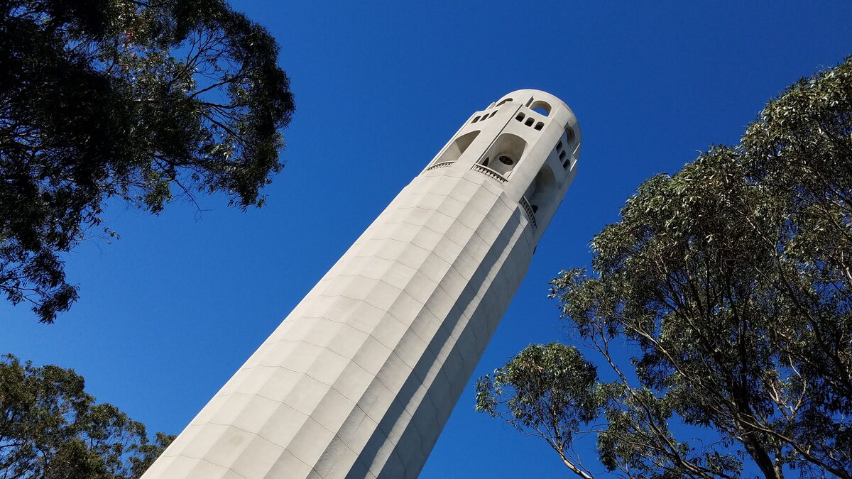 The fluted concrete column of Coit Tower rising against a deep blue sky between trees