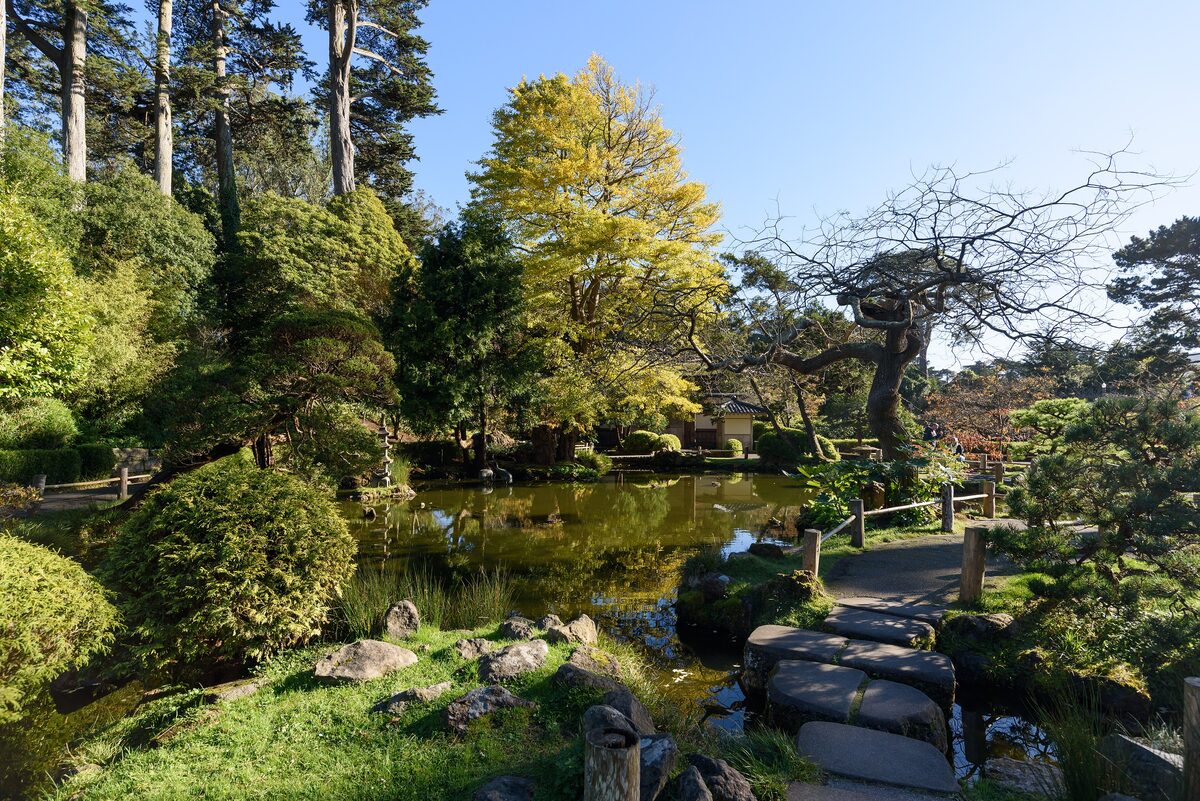 A pond, stepping stones and pruned pines and maples in the Japanese Tea Garden