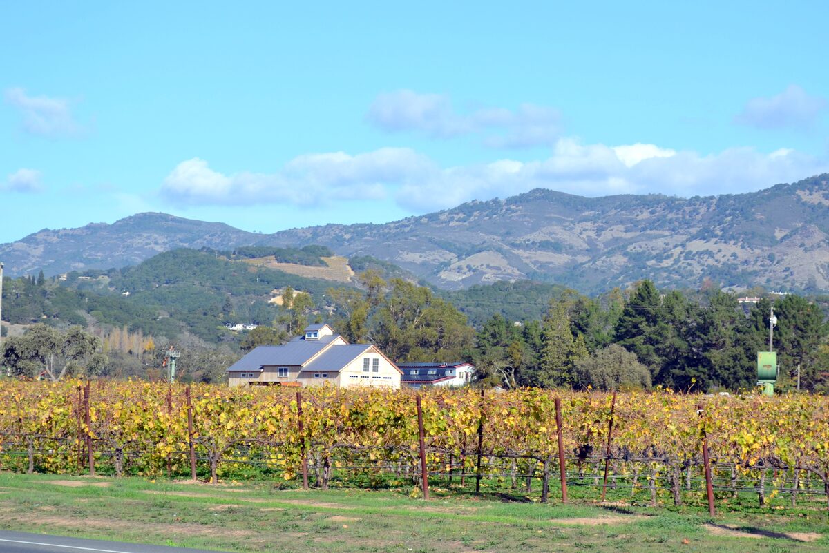 Rows of vines turning yellow in autumn on the floor of the Napa Valley, with a winery building and wooded hills behind